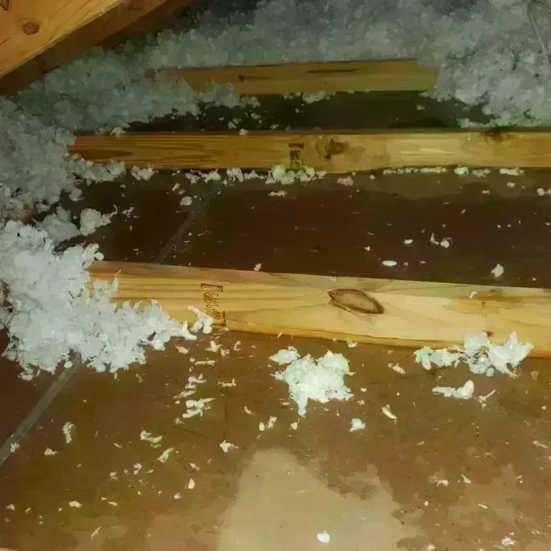 Attic Water Damage in Celina, TN